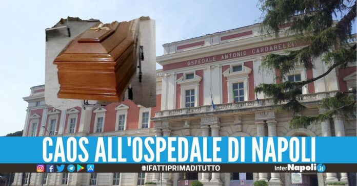 Tre infermieri dell'ospedale Cardarelli sarebbero stati aggrediti da 8 persone. Il gruppo avrebbero voluto entrate all’obitorio per