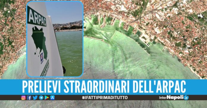 Il mare di Napoli diventa verde, colpa dell'anticiclone africano