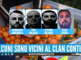 Traffico di droga tra Spagna e Napoli, 7 arresti dopo il maxi sequestro