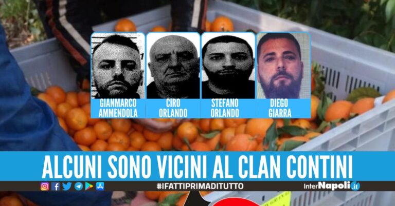 Traffico di droga tra Spagna e Napoli, 7 arresti dopo il maxi sequestro