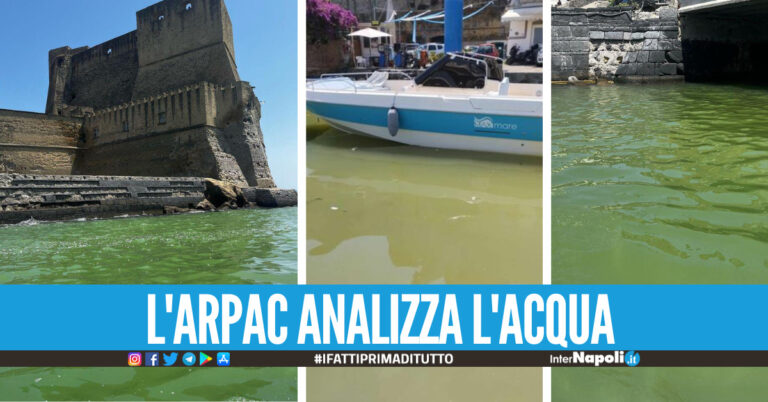 Il mare di Napoli diventa verde, l'Arpac chiarisce Colpa delle alte temperature