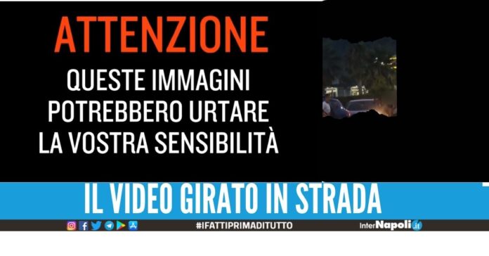 sesso