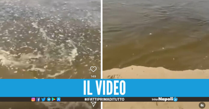 Mare foce Lago Patria