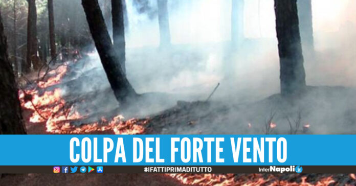 incendio vesuvio