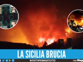 (Video). Catastrofe in Sicilia, da Palermo a Catania: regione devastata dagli incendi
