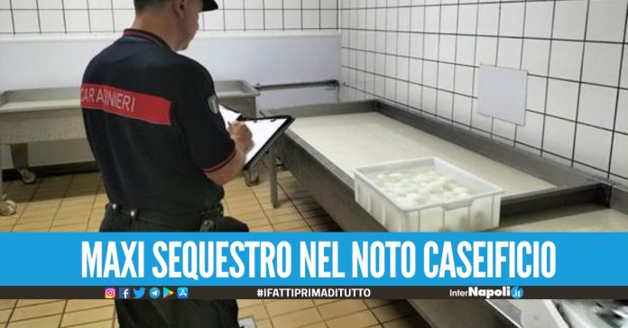 Blitz nel caseificio nel Casertano mozzarella di bufala campana dop falsa e formaggi fuorilegge