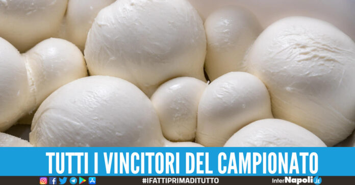 Mozzarella