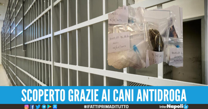 detenuto droga carcere carinola
