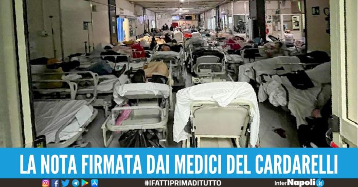 caos barelle cardarelli