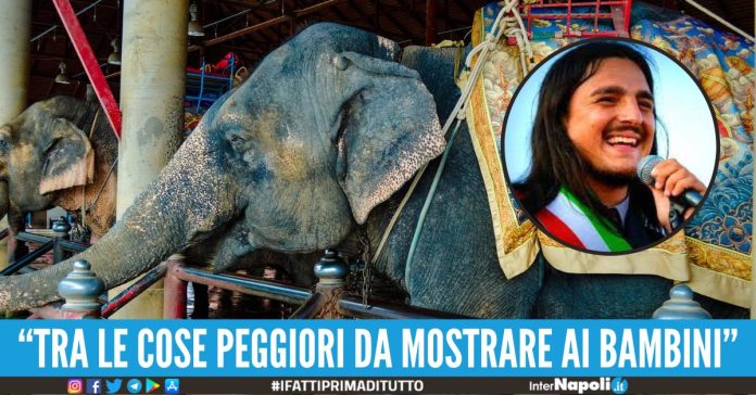 circo vietato a bacoli