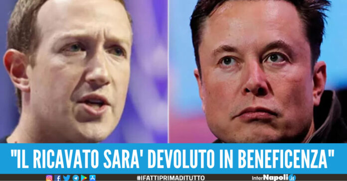 combattimento musk zuckerberg