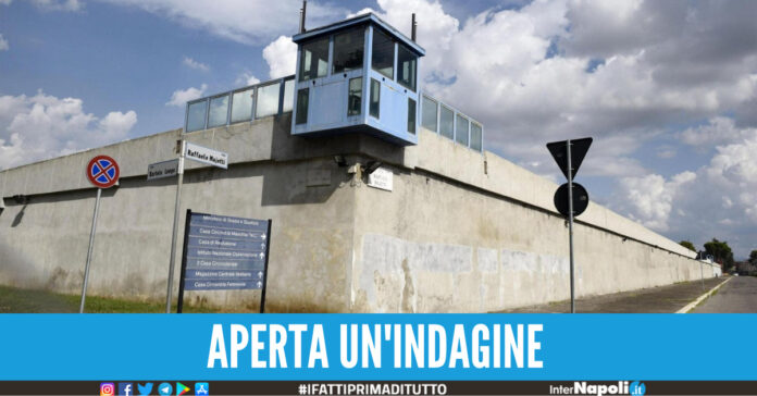 truffa sul cibo carcere di rebibbia