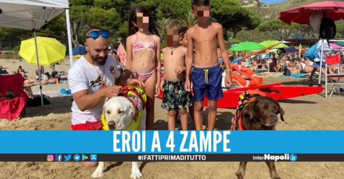 Gioia in spiaggia a Sperlonga, i cani salvano 4 bimbi dalle onde