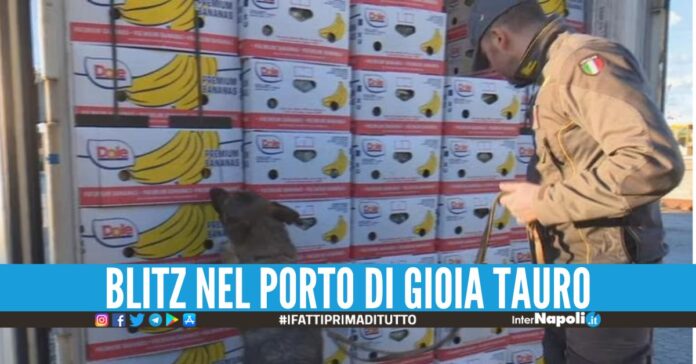 Sequestrati 150 kg di cocaina purissima, colpo da 30 milioni ai narcos