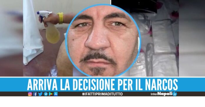 Traffico di droga dal Perù, scarcerato Criscuolo: voleva ‘pittare’ Napoli di bianco