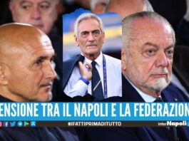 Spalletti è il nuovo ct dell'Italia, Gravina: "Un grande allenatore"