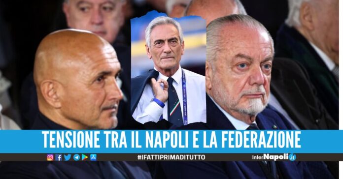 Spalletti è il nuovo ct dell'Italia, Gravina: 