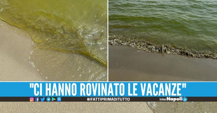 Mare verde a Casal Velino, la video-denuncia di una famiglia di Napoli