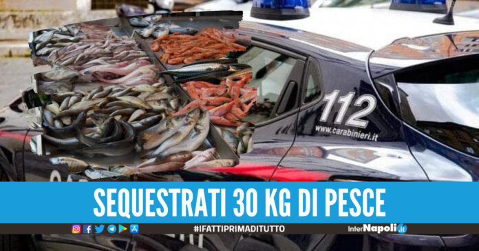 Foto di repertorio