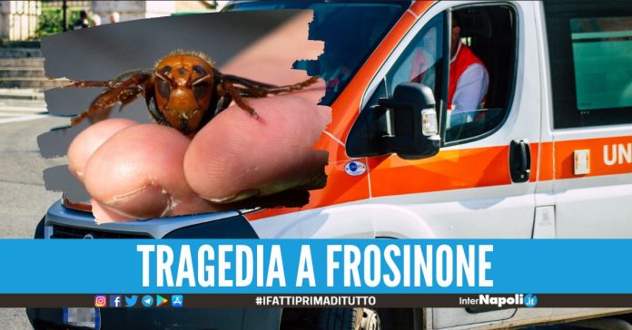 Foto di repertorio