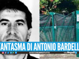 Il fantasma di Antonio Bardellino, un certificato di nascita anomalo dietro le ricerche del boss