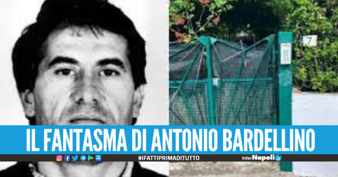 Il fantasma di Antonio Bardellino, un certificato di nascita anomalo dietro le ricerche del boss