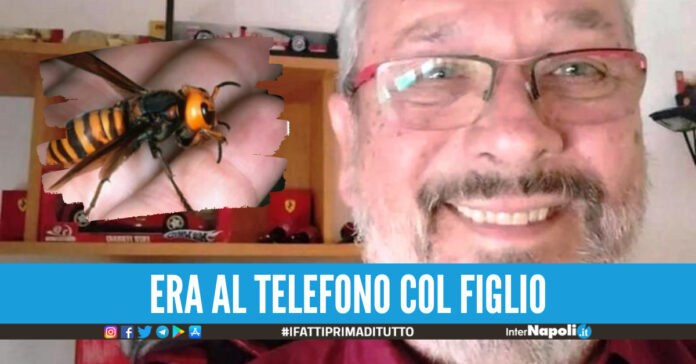 calabrone