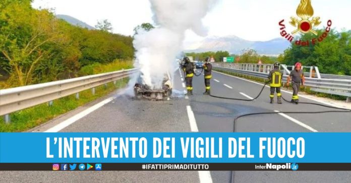 auto