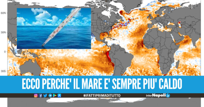 Oceani e mari sempre più caldi, hanno raggiunto la loro temperatura più calda mai registrata