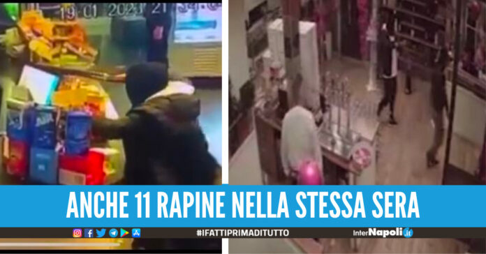 Rapina
