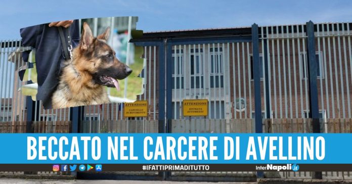 Carcere Avellino
