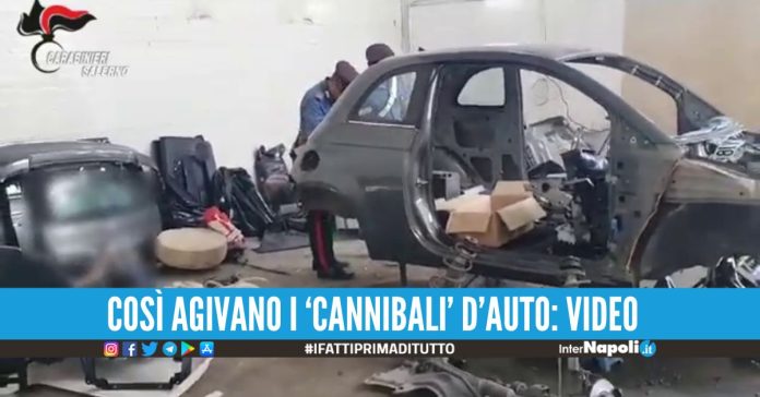 Partono da Napoli per smontare le auto rubate, 5 arresti nel capannone