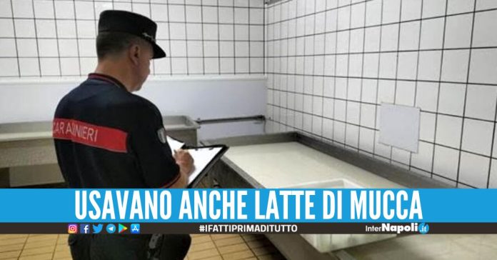 Mozzarella 'pezzotta' venduta in un caseificio nel Casertano, scatta il blitz