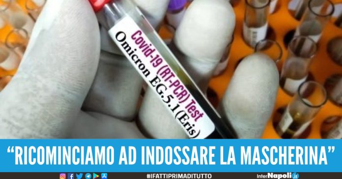 covid campania variante eris