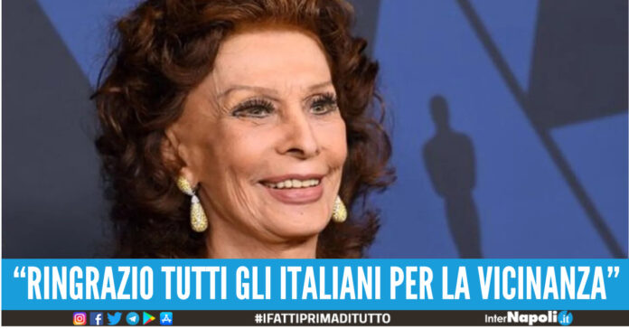 sophia loren