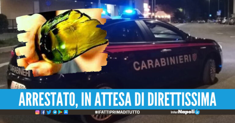 Paura in provincia di Napoli, aggredisce i carabinieri con un coccio di bottiglia