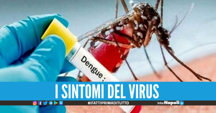 dengue