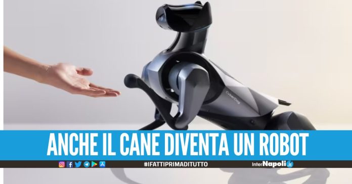 Nasce il CyberDog, anche il cane diventa robot svelato il costo