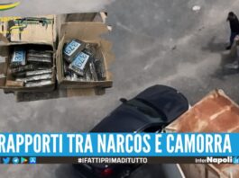 Maxi sequestro di cocaina a Trieste, coinvolto un uomo del clan Mazzarella
