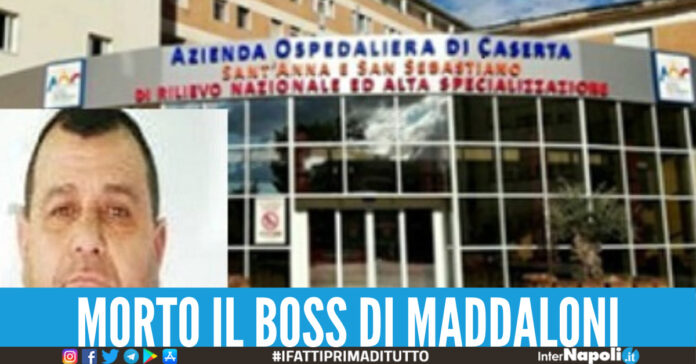 Boss