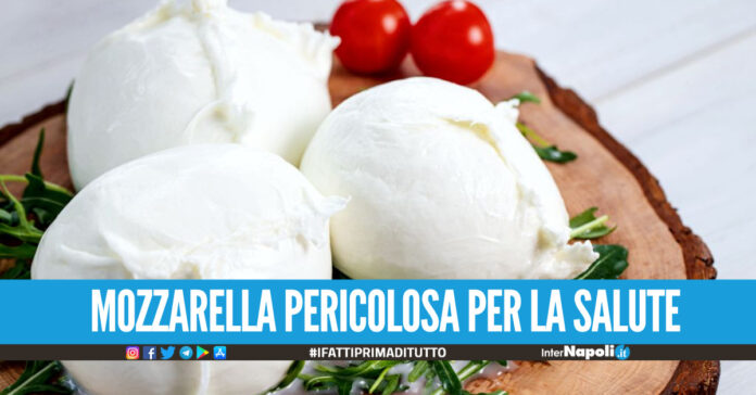 Latte adulterato per la mozzarella dop, condannato titolare di un noto caseificio casertano
