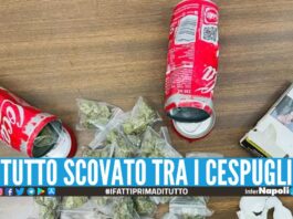 Blitz nel rione Traiano, marijuana nascosta nelle lattine della Coca Cola