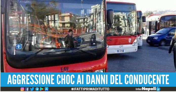 autista bus preso a pugni passeggero napoli