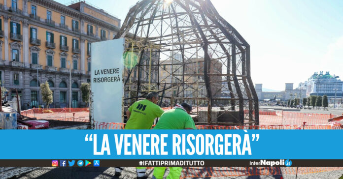 venere