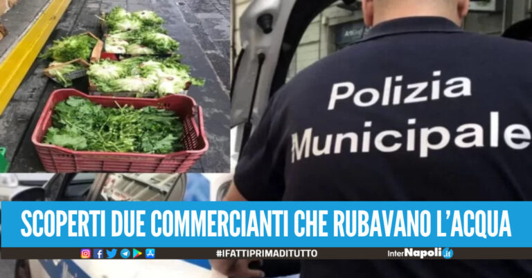 Arzano, sequestrato negozio abusivo di frutta e verdura: denunciato il titolare