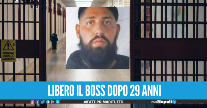 Camorra di Soccavo. Clan Scognamillo, inchiesta a pezzi torna libero il ras Daniele