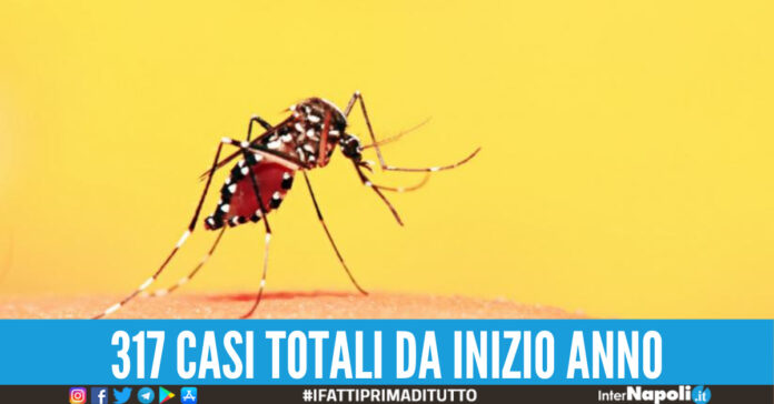 Febbre Dengue
