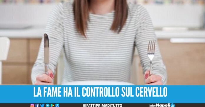 Gli scienziati lo confermano: Il senso di fame gestisce le decisioni del cervello.