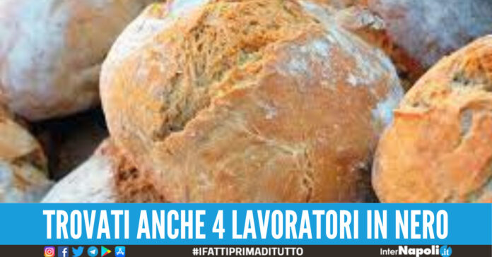 muffa nel pane secondigliano
