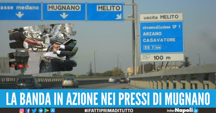 rapine sull'asse mediano